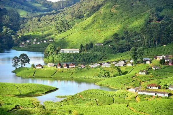 Munnar image